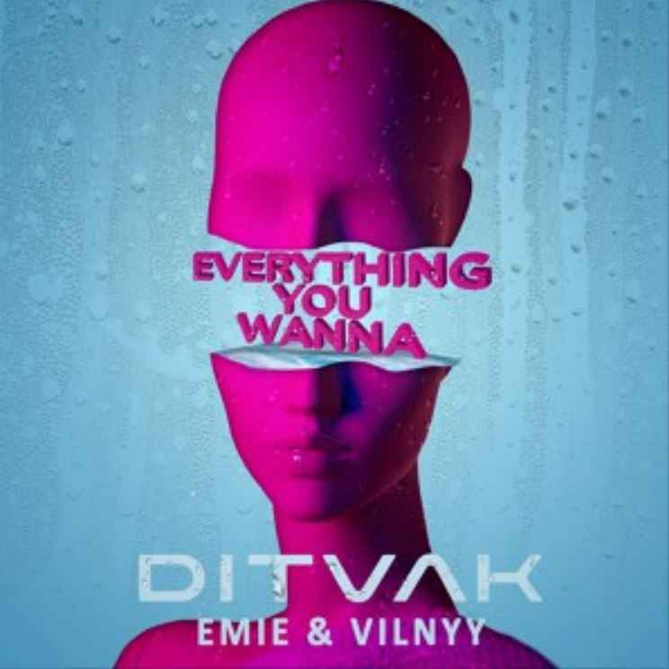 Ditvak ft. Emie & Vilnyy - Everything You Wanna