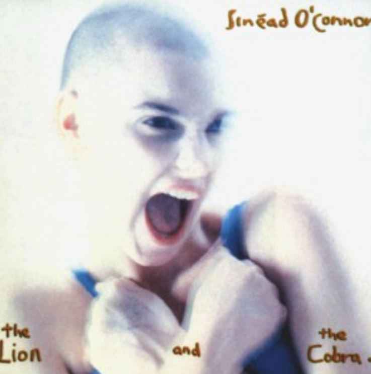 Sinéad O'Connor - Drink Before the War