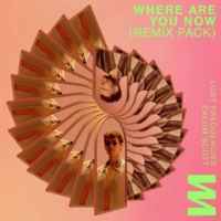 Lost Frequencies & Calum Scott - Where Are You Now (Deluxe Mix)