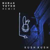 Kush Kush & Burak Yeter - I'm Blue (Remix)