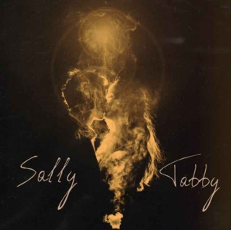 Sally & Tabby - Свет в тумане