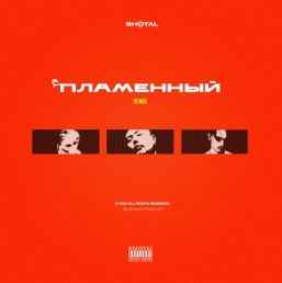 AYRYS ft. Niman & Truwer - Пламенный (Remix)