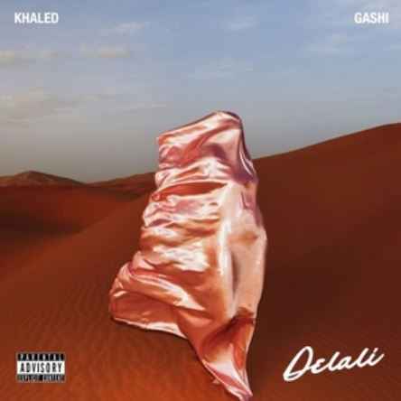 Khaled & Gashi - Delali