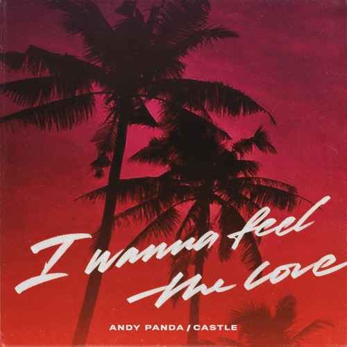 Andy Panda & CastleI - Wanna Feel the Love