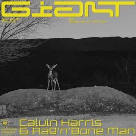 Calvin Harris & Rag'n'Bone Man - Giant
