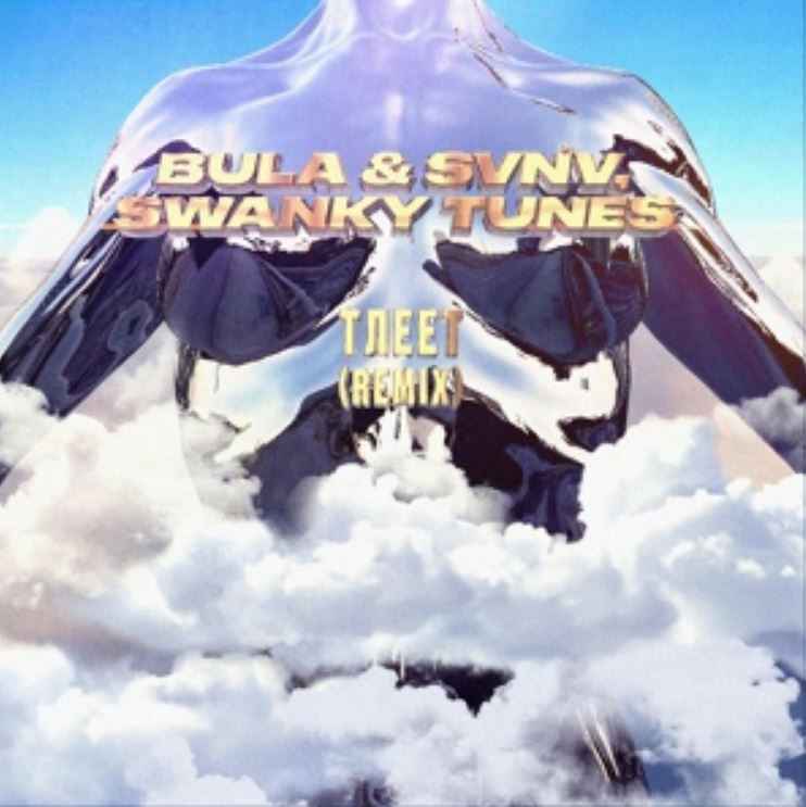Bula ft. SVNV & Swanky Tunes - Тлеет (Remix)