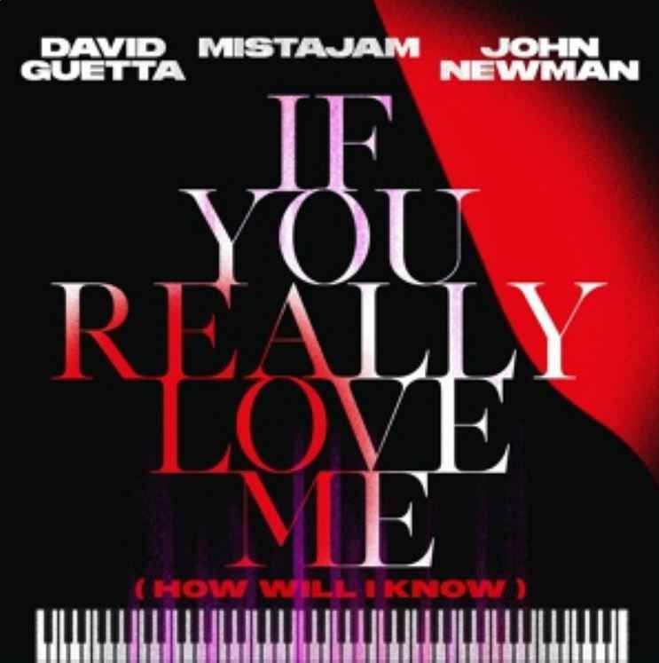 David Guetta ft. MistaJam & John Newman - If You Really Love Me (How Will I Know)