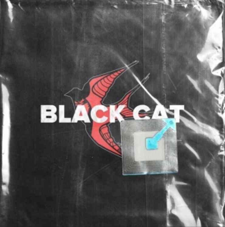 LeanJe - Black Cat