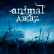 Animal Джаz & Amatory - Три полоски